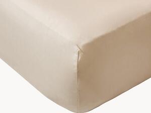 Lenzuolo con angoli boxspring in percalle di cotone Cream