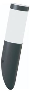 Brilagi - Lampada da parete per esterni ELIA 1xE27/20W/230V IP44 antracite