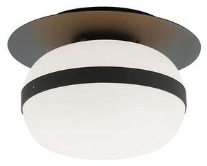 Plafoniera PALMA 1xE27/40W/230V nera
