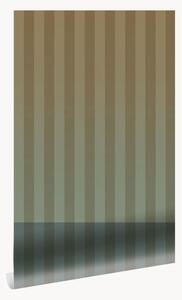Carta da parati Frans Uyterlinde - Gradient Stripes