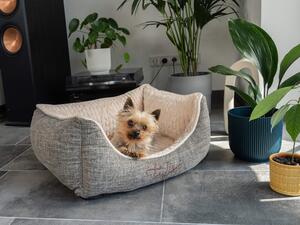 TrendPet VitaBed Classic letto ortopedico per cani beige (60x50x25cm)