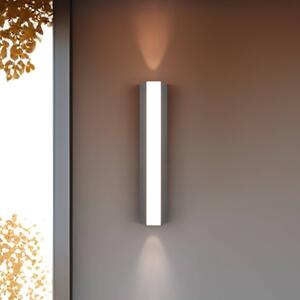 Trio Lighting Applique da esterno a LED Marne, altezza 30 cm, faretto e faretto