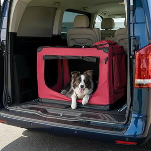 Trasportino per animali domestici belviona pieghevole, comodo e sicuro, Oxford + rete, riponibile in poco spazio, fino a 22 kg, 90x61x65 cm, rosso vino