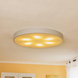 TEMAR LIGHTING Plafoniera Cleo 800, Ø 78 cm grigio