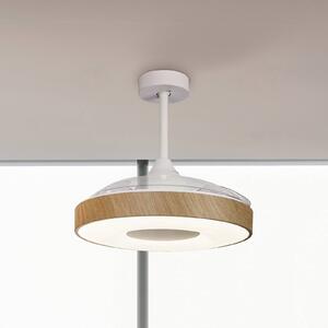 Mantra Iluminación Ventilatore da soffitto a LED Coin wood Motore DC silenzioso Ø 106 cm CCT