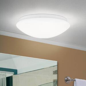 ORION Plafoniera LED Nedo curva, Ø 25 cm