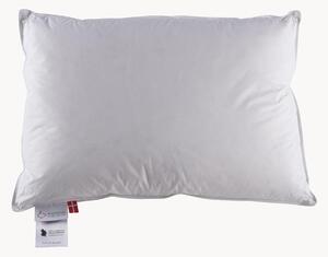 Cuscino in piuma a 3 camere Jack The Dullard, morbido