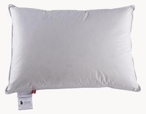 Cuscino in piuma a 3 camere Jack The Dullard, rigido