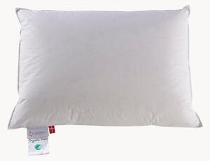 Cuscino in piuma a 3 camere Organic Care, morbido