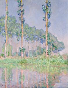 Riproduzione Poplars Pink Effect 1891, Claude Monet