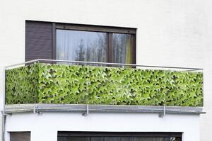 Schermo verde da balcone 500x85 cm - Maximex