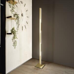 Fabas Luce Piantana LED Ling, ottone, altezza 165 cm, dimmerabile, metallo