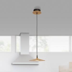 Zambelis Lampada LED sospensione 19150 legno chiaro Ø 25 cm