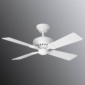 Hunter Bayport ventilatore bianco/rovere chiaro