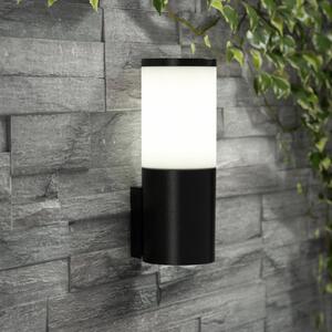 Fumagalli Applique LED da esterni Amelia con CCT, nero