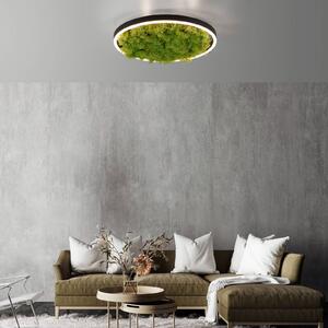 JUST LIGHT. Plafoniera LED Green Ritus muschio dimming Ø39,3cm