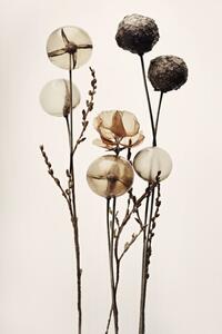 Illustrazione Glass Ball Flowers, Treechild