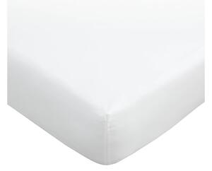 Lenzuolo bianco in cotone egiziano elasticizzato 90x190 cm - Bianca