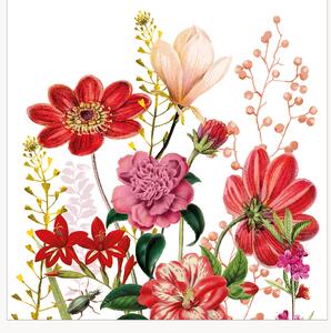 Set di 40 tovaglioli di carta Floria