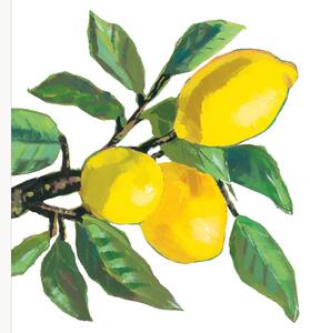 Set di 40 tovaglioli di carta Lemon Musée