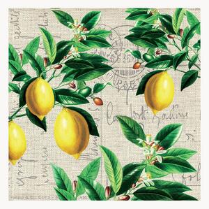 Set di 40 tovaglioli di carta Capri