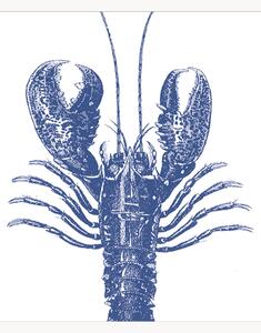 Set di 40 tovaglioli di carta Lobster