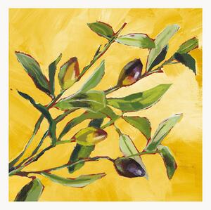 Set di 40 tovaglioli di carta Olive Musée