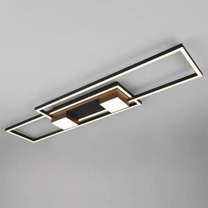 Lampade TRIO Lampada da soffitto ALBANY BHT 100x8x28 cm nero