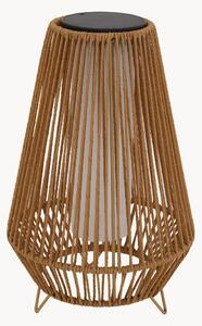 Lampada da terra solare a LED con luce regolabile Salomea Tall