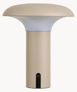 Lampada LED solare portatile Ramsey