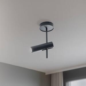 Faretto da soffitto Leda 1, antracite, a 1 luce, acciaio, altezza 34 cm SIGMA, dimmerabile, Nero, Soggiorno / Sala da pranzo, Metallo, Moderno, Faretto