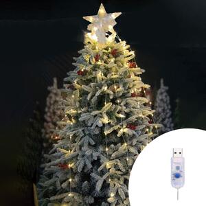 Mantello a cascata di luci con puntale stella per Albero di Natale 220cm 252 Led Bianco Freddo Wisdom