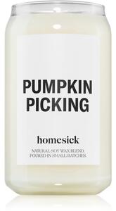 Homesick Pumpkin Picking candela profumata 390 g
