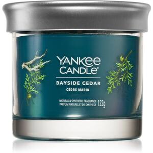 Yankee Candle Bayside Cedar candela profumata I 122 g