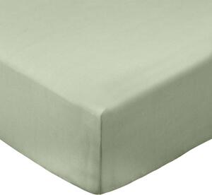 Lenzuolo con angoli verde in percalle di cotone 90x190 cm Cotton Percale – Bianca