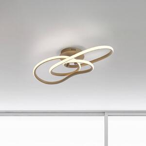 Paul Neuhaus Plafoniera soffitto TWIST, dimmerabile, Crema / Ambra, Soggiorno / Sala da pranzo, Alluminio, Moderno, Plafoniera