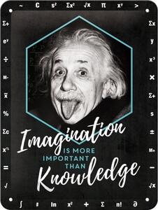Cartello in metallo Einstein Imagination Knowledge, ( x cm)