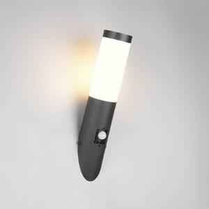 Trio Lighting Applique da esterno Trioto, nero opaco, 39 cm acciaio inox, sensore Trioto, Nero, Acciaio Inox, Moderno, Applique da esterni