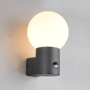 Trio Lighting Applique da esterno Mures, antracite, altezza 28 cm, metallo, sensore Mures, Nero, Alluminio, Moderno, Applique da esterni