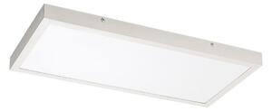 Rabalux 71077 - Pannello a plafone LED DAMEK LED/24W/230V 4000K 60x30 cm