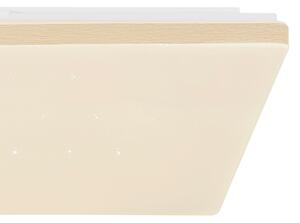 Globo 48025WSH - Plafoniera LED Dimmerabile LED/24W/230V Wi-Fi Tuya + TC