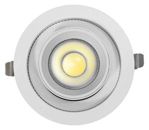 Faro LED da Incasso 30W Orientabile CCT Foro Ø110mm 60° Bridgelux LED Colore Bianco Variabile CCT