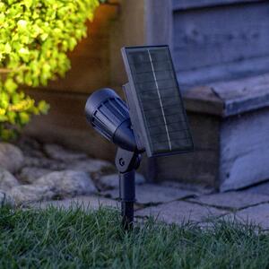 STAR TRADING Faretto solare a LED Powerspot 19 cm RGBW, 80 lm, nero, picchetto da terra, Nero, Plastica, Moderno, Lampade solari