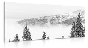 Quadro su tela – Alberi di pino innevati in bianco e nero