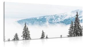 Stampa su tela – Alberi di pino innevati