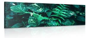 Quadro su tela – Foglie tropicali fresche