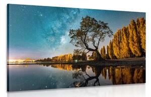 Quadro su tela – Albero sotto il cielo stellato