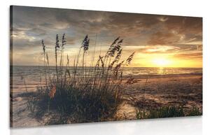 Quadro su tela – Tramonto sulla spiaggia