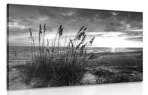 Stampa su tela – Tramonto sulla spiaggia in bianco e nero