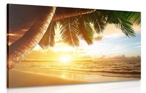 Quadro su tela – Alba sulla spiaggia caraibica